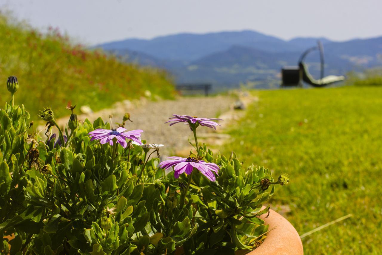 In Canto Sul Poggio Panzió Volterra Kültér fotó
